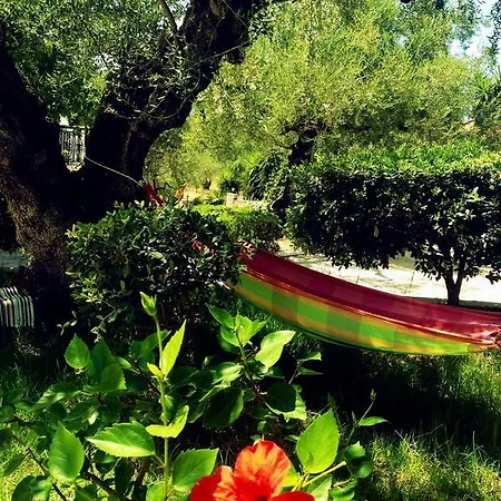 Lofos Strani 酒店 扎金索斯镇