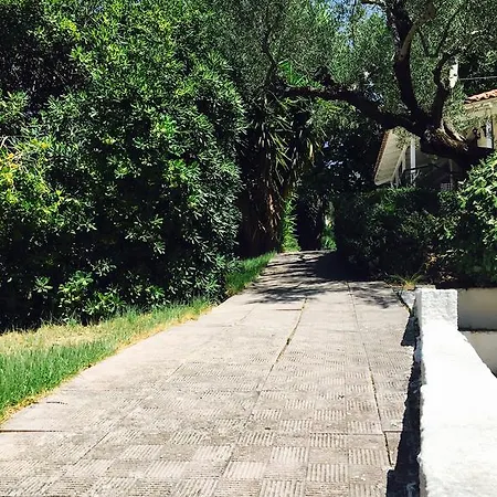 Lofos Strani 2* 扎金索斯镇