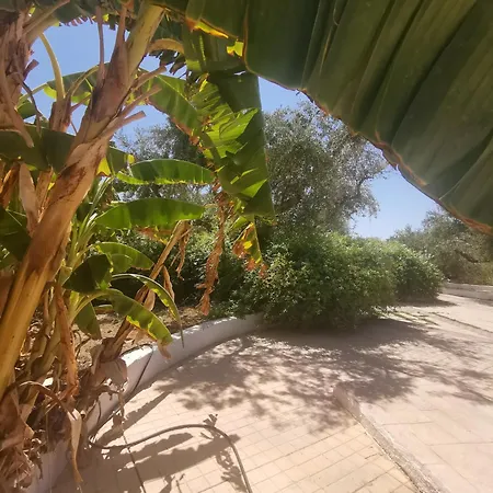 Hotel Lofos Strani 2*