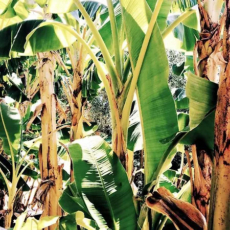 Lofos Strani 2* Zakynthos