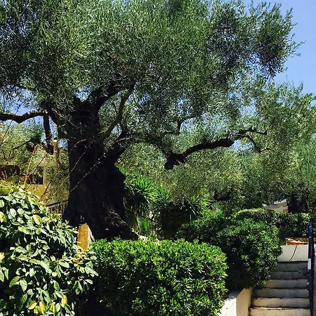 Hotel Lofos Strani